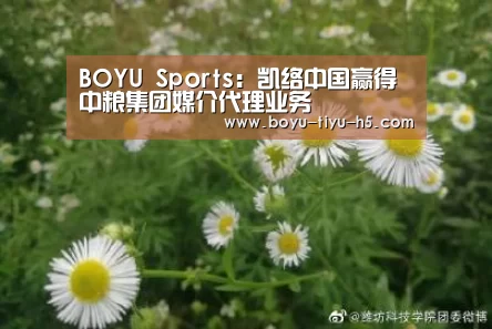 博鱼体育