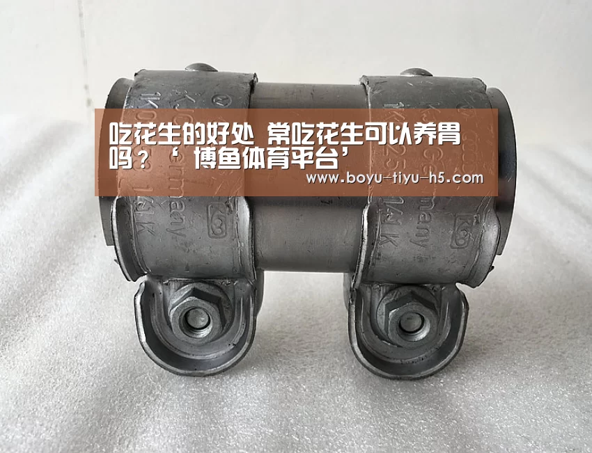 吃花生的好处 常吃花生可以养胃吗?‘ 博鱼体育平台’(图4) 博鱼体育