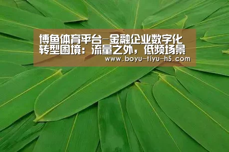 博鱼体育平台-金融企业数字化转型困境:流量之外,低频场景如何拓客、留客?(图2) 博鱼体育平台