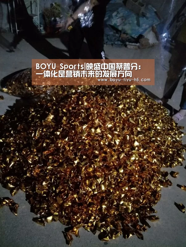 BOYU Sports|映盛中国蔡普分:一体化是营销未来的发展方向(图1) 博鱼体育